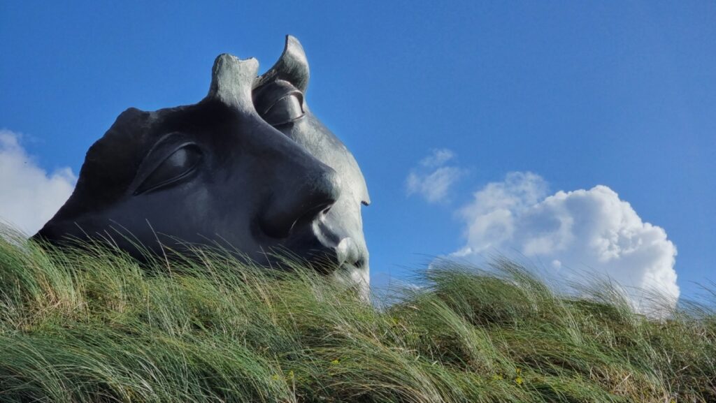 David Marriott - Portrait - Heads Up